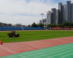 ok스포츠조경