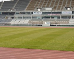 ok스포츠조경