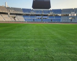ok스포츠조경
